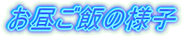 т̗lq